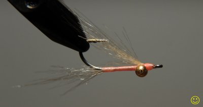Step 3 