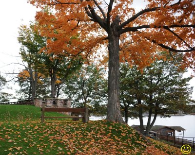 Hart Island Thu 25