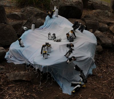 A colony of penguins by students at Jindabyne Central School stage 3.jpg