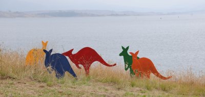 Coloured Kangaroos by David Doyle.jpg