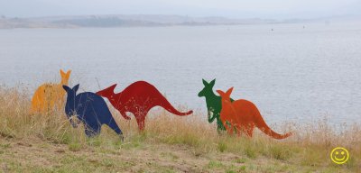 Coloured Kangaroos by David Doyle Tue 7