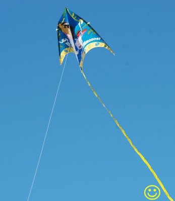 conventional kite Tue 14