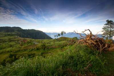 West Sumatra