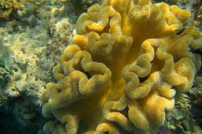 Labuan Bajo