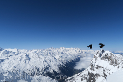 Engelberg