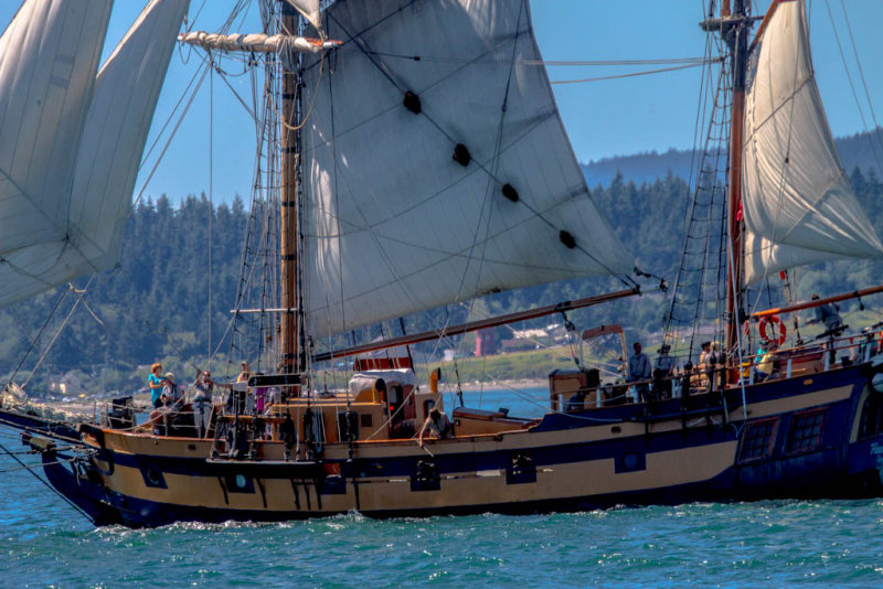 Tall Ships (16 of 47).jpg