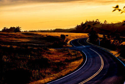 Cattle Point Road 2 