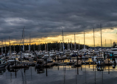 Roche Harbor Reflections