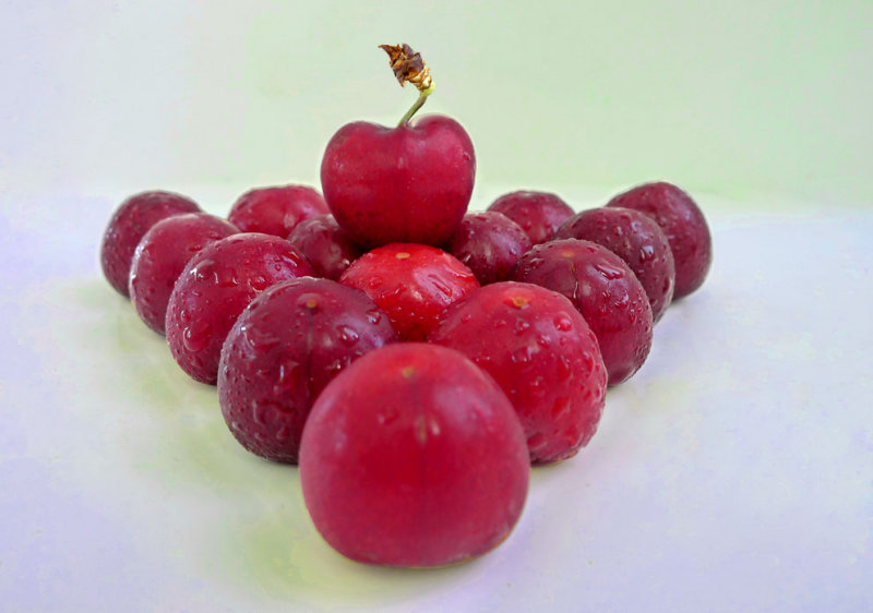 Cherry leader-317