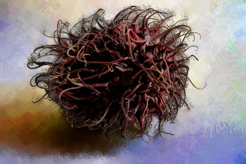 Gordian knot-310
