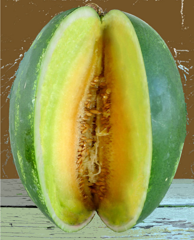 Watermelation-305