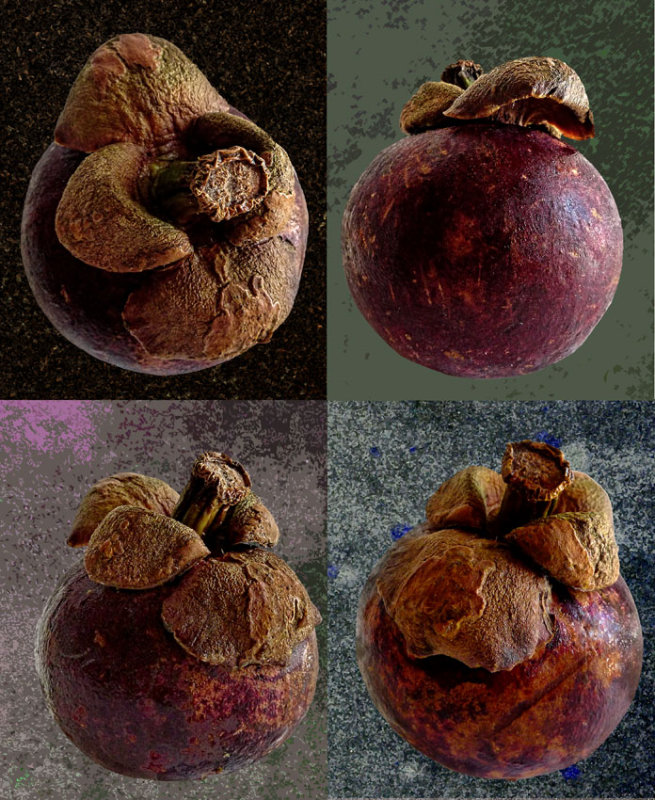 Warhols mangosteen portait-351