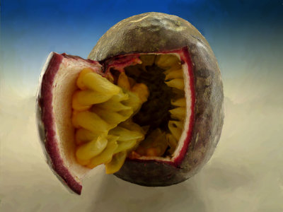 Spacepassion fruit-366