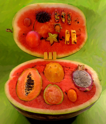 Exotic fruits dealer's  suitcase-349