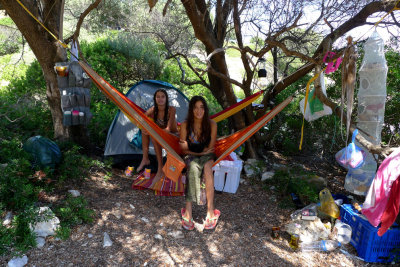 Immobile into the hammocks