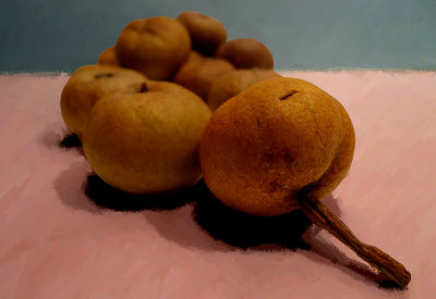 Little Wild  Pears-202