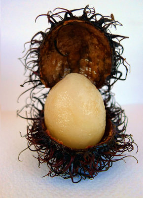 Tropical Faberge egg-327