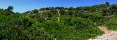 Hidden stone path