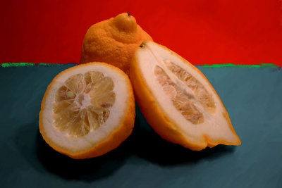 Bergamot Oranges-68