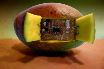 An almost perfect Hi-Tech  mango-359