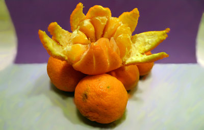 Mandarin flower-516