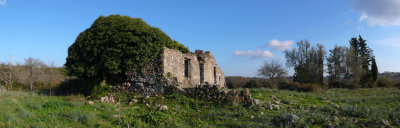 Ecological roof