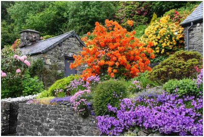 Garden colours