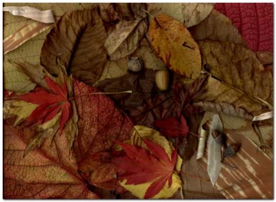 Autumn Leaves