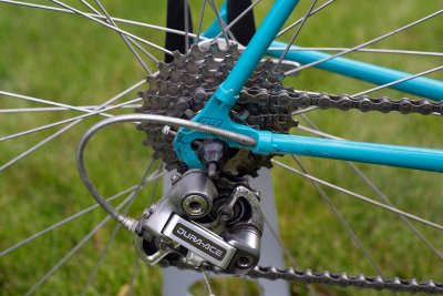 trek8.jpg