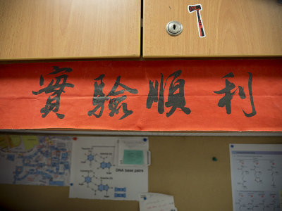 P1110178.jpg