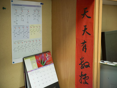 P1110180.jpg
