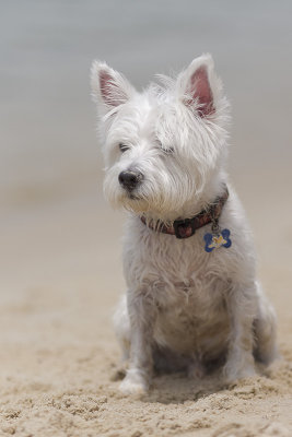 IMG_5745_DxO.jpg