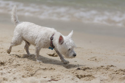 IMG_5771_DxO.jpg