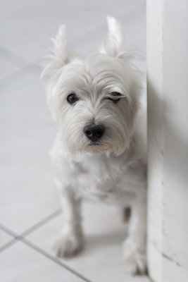 IMG_6223_DxO.jpg