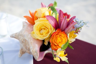 Colorful florals in a conch shell. Photo by Susan Pacek Photography