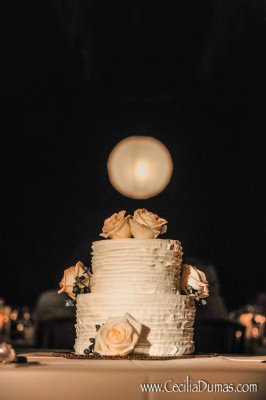 Ruffle wedding cake. Photo by Cecilia Dumas 