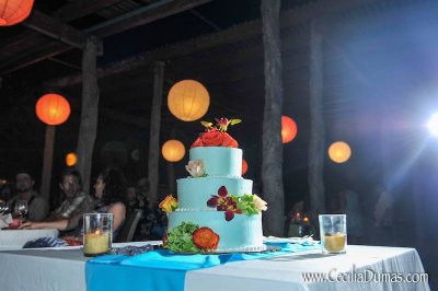 Blue butterfly wedding cake. Photo by Cecilia Dumas