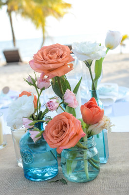 Blues and corals. Photography by Cecilia Dumas