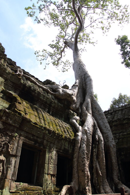 SIEM_REAP2013_293.JPG
