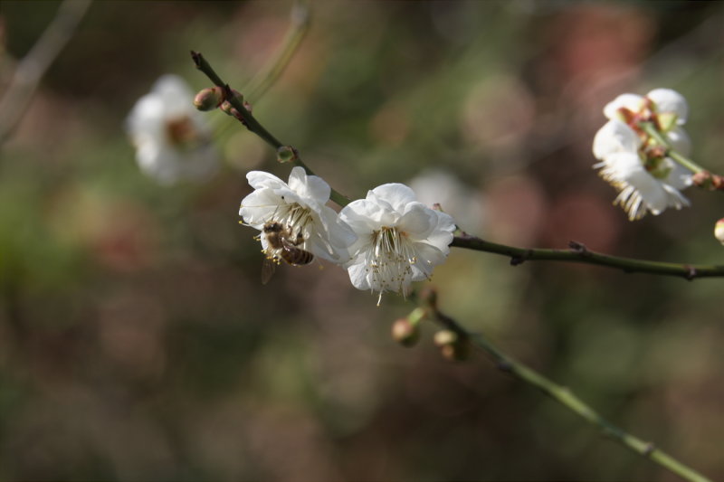 DSCF5888.jpg