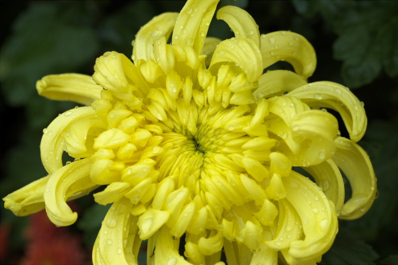DSCF4782.jpg