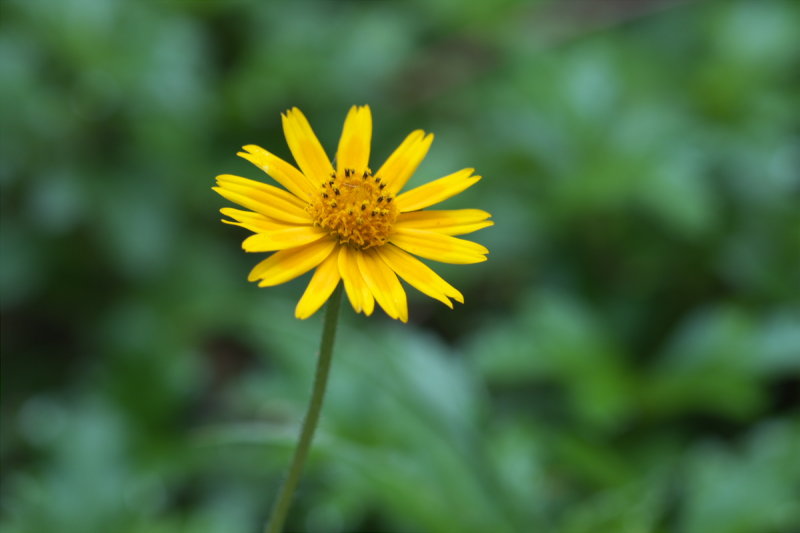 DSCF2153.jpg