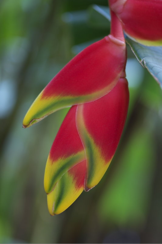 DSCF2155.jpg