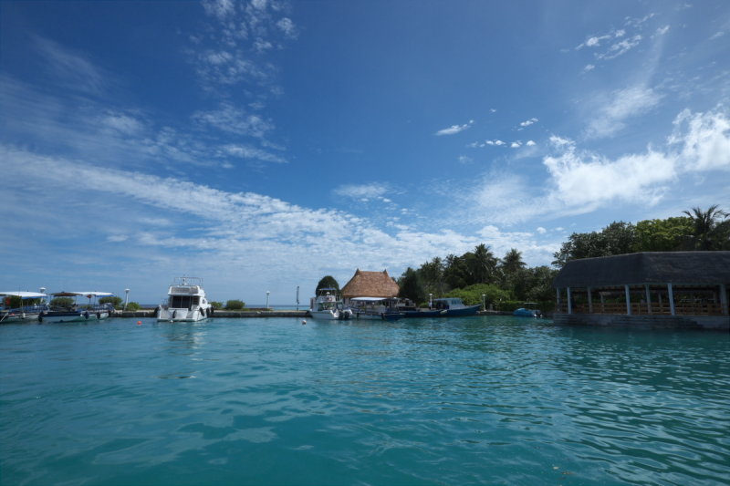 DSCF8849.jpg