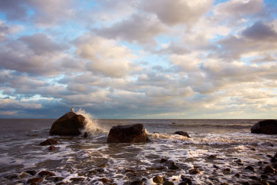 New England Landscapes