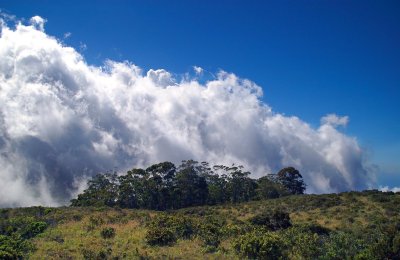 Above the Clouds