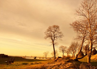 Late Day Light