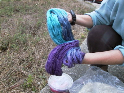 Wool Dyeing Workshop