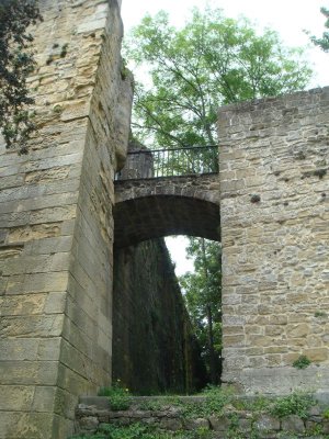 Bridge to entrance of Fort