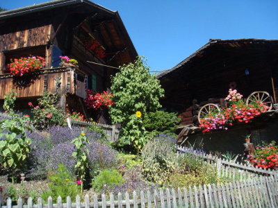 Challet in Murren